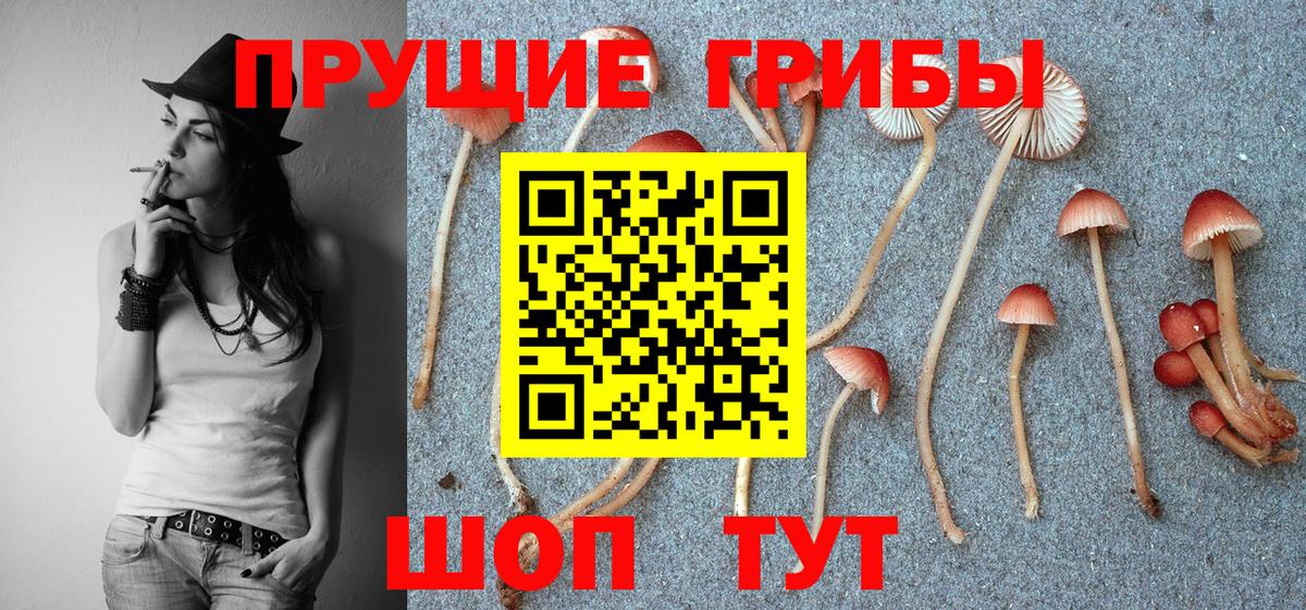 Псилоцибиновые грибы Magic Shrooms Учалы